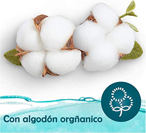 AMOMI Toallitas humedas compactas para Bebé y viajes, 14 Paquetes 1008 Unidades, Toallitas húmedas Bebé, con Tapa, Testado dermatológicamente y 0% de fenoxietanol, parabenos y alcohol