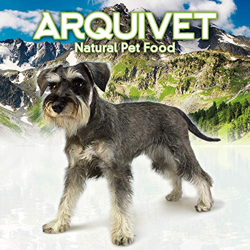 Arquivet Hueso de buey "Mamut" para perros - Snacks Naturales para perros - Snack dental canino - Chuches para perro - Golosinas para perro - Hueso masticable para perros