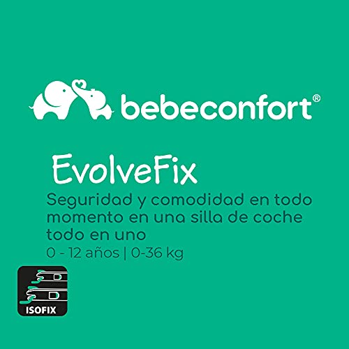 Bébé Confort EvolveFix, Silla de coche ISOFIX giratoria 360, 0-36 kg, Grupo 0/1/2/3 desde el nacimiento hasta los 12 años, Reclinable y evolutiva, Night Grey (gris)