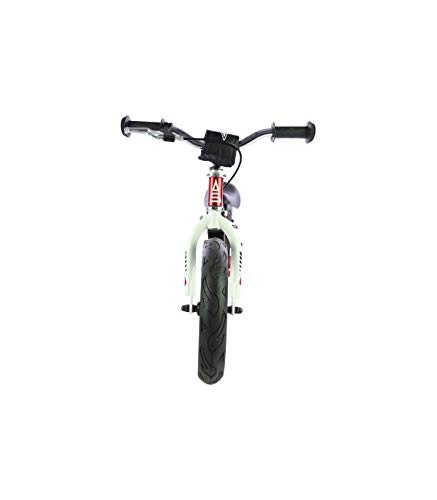 Bicicleta Sin Pedales De Equilibrio para Niños con Cuadro de Acero Resistente y con Freno Trasero y Manillar Ergonómico | Rueda de 12" | para Niños de 2 a 5 Años | Rojo | Incluye Protecciones