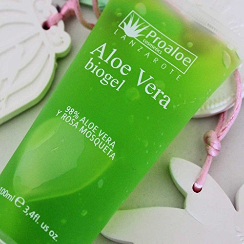 Biogel Aloe Vera y Rosa Mosqueta 100ml