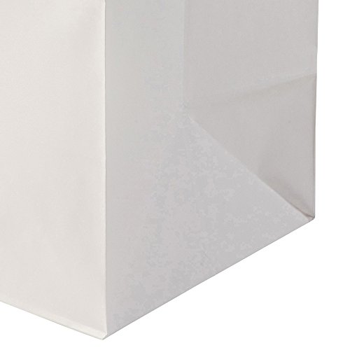 BIOZOYG Bolsas Papel Blanco con Asa I Bolsa Papel respetuosa del Medio Ambiente Hecha de Papel Kraft I Bolsa Regalo Biodegradable, Bolsas compostable I 250 x Bolsas Papel Blanco con Asa de 18x8x22 cm