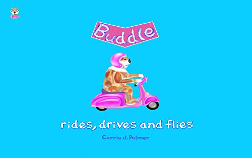 Buddle Rides, Drives and Flies (English Edition)