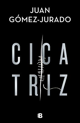 Cicatriz (La Trama)