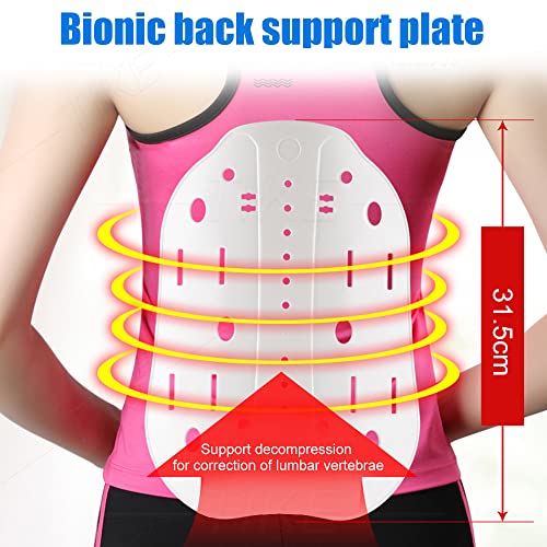 Cinturón De Soporte Lumbar para La Parte Inferior De La Espalda con Sistema De Polea para Aliviar El Dolor De Espalda, Hernia De Disco, Ciática, Escoliosis