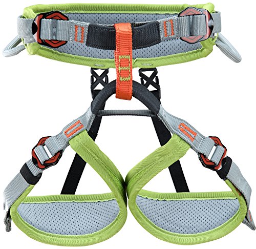 Climbing Technology Ascent, arnés Unisex Infantil, Verde/Gris, XXS