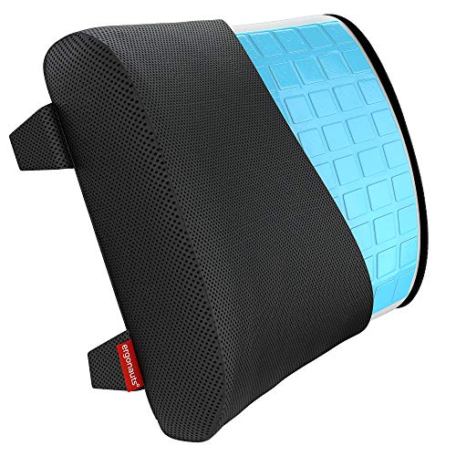 Cojín De Soporte Lumbar De Terapia De Postura - Espuma Con Memoria, Almohada Ergonómica De Soporte De La Espalda - Alivia Y Previene La Parte Baja De La Espalda, La Ciática Y El Dolor De Disco