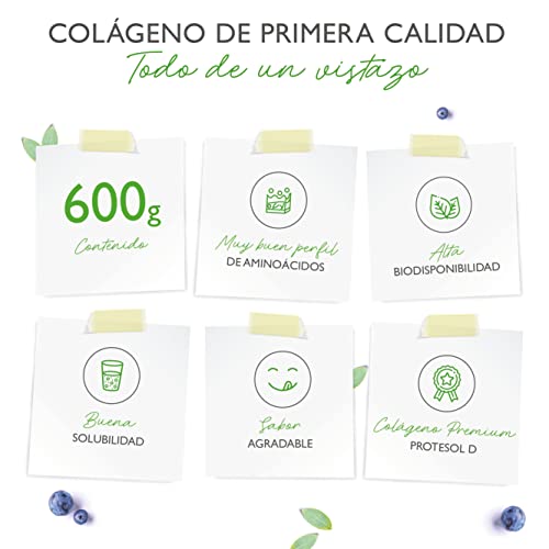 Colágeno en polvo 600 g - Premium: 100% péptidos hidrolizados de colágeno bovino de Protesol D - Sabor neutro - Sin aditivos - Colágeno tipo 1 2 3