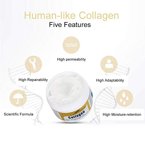 Crema de belleza de colágeno hecha con colágeno 100% puro similar al humano, 80 g Crema Cara hidratante facial antienvejecimiento Crema reafirmante para la piel Arrugas sua