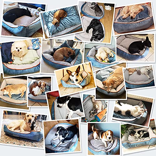 Docatgo Camas para Perros,Cama para Mascotas con Suave cojín Desmontable 80x60x20cm, Perros De Perrito Sofa con Suave cojín Desmontable