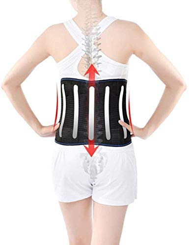 Entrenador de postura Transpirable lumbar ortopédico removible lumbar cojín Hombres Mujeres alivio del dolor hernia discal, Alivio lumbar Estabilidad Firma Corrección anti-jorobada ( Size : X-Large )