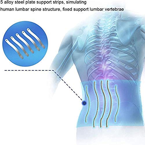 Entrenador de postura Transpirable lumbar ortopédico removible lumbar cojín Hombres Mujeres alivio del dolor hernia discal, Alivio lumbar Estabilidad Firma Corrección anti-jorobada ( Size : X-Large )