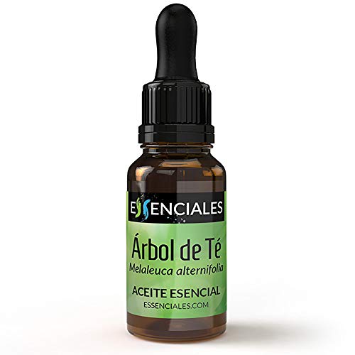 Essenciales - Aceite Esencial de Árbol de Té, 100% Puro, 30ml | Aceite Esencial Melaleuca Alternifolia - Tonificante, Antiséptico y Antifúngico