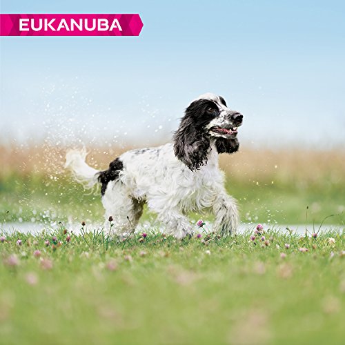 EUKANUBA Edad avanzada Próspero Raza Mediana rico en pollo fresco [12 kg]