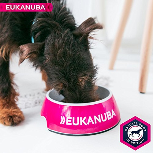 EUKANUBA Edad avanzada Próspero Raza Mediana rico en pollo fresco [12 kg]