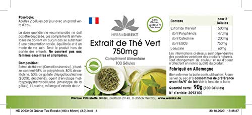 Extracto de Té verde 750mg - Altamente dosificado - Vegano - 50% EGCG - 100 cápsulas