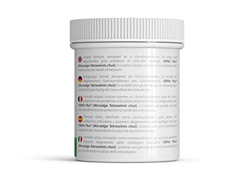 Filipet Glucosamina para Perros, antinflamatorio, condroprotector, Ayuda al Cuidado de Las articulaciones, Huesos, Mejora la Movilidad y flexibilidad de su Perro. Fórmula PETFIT Plus. Filiflex