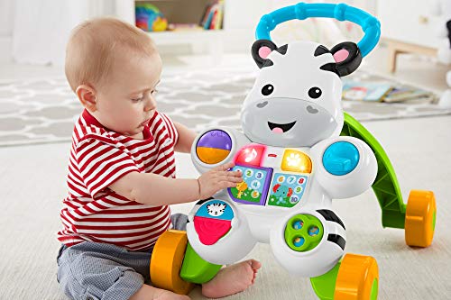 Fisher-Price Fisher-Price-DLD96 Zebra Walker-FR, Multicolor GXC30