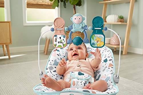 Fisher-Price GWD38 - Terrazzo Bouncer, Hamaca con Vibraciones Relajantes Para Bebés 0+ Meses (Mattel GWD38)