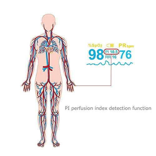 FONCBIEN Oxímetro de Dedo - Saturación De Oxígeno En La Sangre -Oxímetros De Pulso Para Atletismo y Aviación,Frecuencia Respiratoria,Con Pantalla Oled,Frecuencia De Pulso,Índice De Perfusión De Sangre