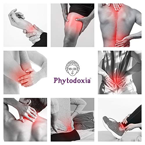 Gel Physio Cream 75 ml | Dolor Muscular y de Articulaciones Deporte | Crema Antiinflamatoria Dolor de Espalda | Crema Masaje Fisioterapia | Harpagofito Arnica Calendula Hiperico Menta