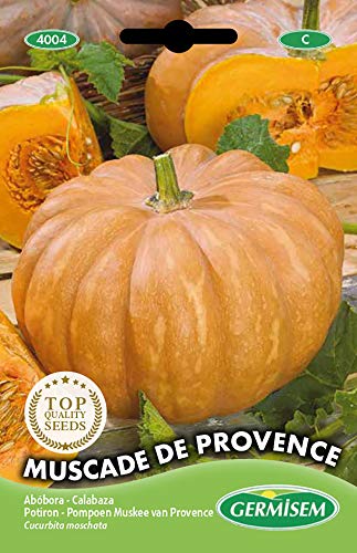 Germisem Muscade de Provence Semillas de Calabaza 3 g