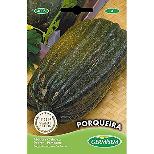 Germisem Porqueira Semillas de Calabaza 5 g, EC4005