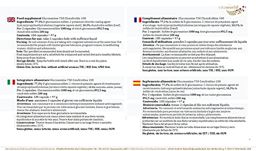 Glucosamina 750mg + Condroitina 100mg 100 Cápsulas - Vita World Farmacia