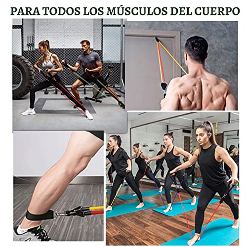 Gomas Elásticas de Musculación para Hacer Ejercicio en Casa | Bandas de Resistencia TRX con Ganchos y Anclajes | Cintas para Entrenar en Suspensión | Cuerdas Fitness y Ejercicio para Hombre y Mujer