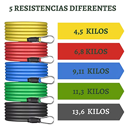 Gomas Elásticas de Musculación para Hacer Ejercicio en Casa | Bandas de Resistencia TRX con Ganchos y Anclajes | Cintas para Entrenar en Suspensión | Cuerdas Fitness y Ejercicio para Hombre y Mujer