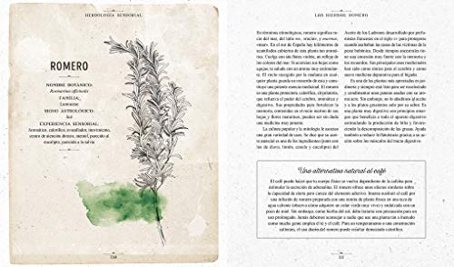 Herbología sensorial: Manual para conectar con el poder medicinal de las plantas de tu entorno… y con la tierra, los elementos y las estaciones (Salud natural)