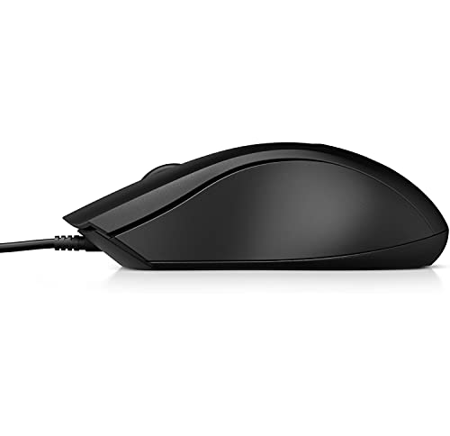 HP 100 BLK WRD Mouse