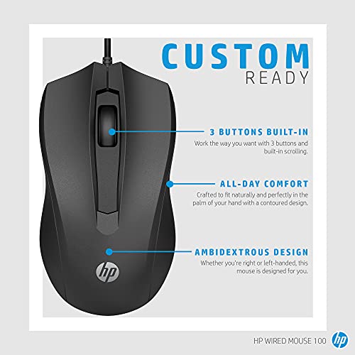 HP 100 BLK WRD Mouse