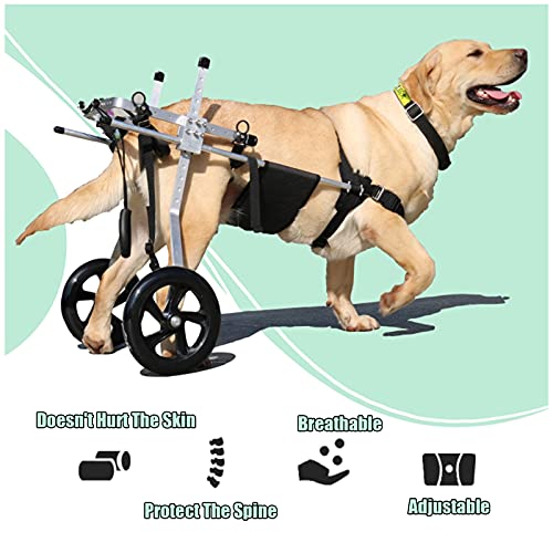 HWhome Silla De Ruedas Ajustable para Perros De 2 Ruedas，Perros Viejos，Gatos，Silla De Ruedas para Perros，Rehabilitación De Patas Traseras，Fácil De Instalar，Apto para Mascotas 15KG-60KG(Size:XXXL)