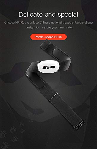 iGPSPORT HR40 - Banda torácica con Sensor de Frecuencia Cardiaca Monitor Conexión Inalámbrico ANT+/2.4G y Bluetooth 4.0. Ciclismo,running,gimnasia,aeróbica.. Resistencia IPX7…