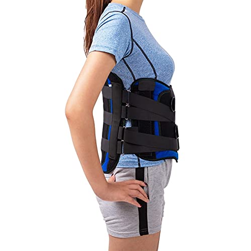 IJNBHU Soporte Lumbar Sacro para la Espalda Corsé lumbosacro Soporte para ortesis espinal Cinturón de Soporte (Tamaño: Mediano)