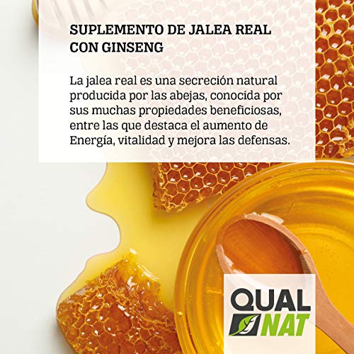 Jalea Real con Ginseng y Vitamina C 20 Ampollas | Vitaminas para el cansancio| Refuerza el organismo| Vitamina B6 y B12| Ayuda a reforzar el sistema inmunitario| QUALNAT