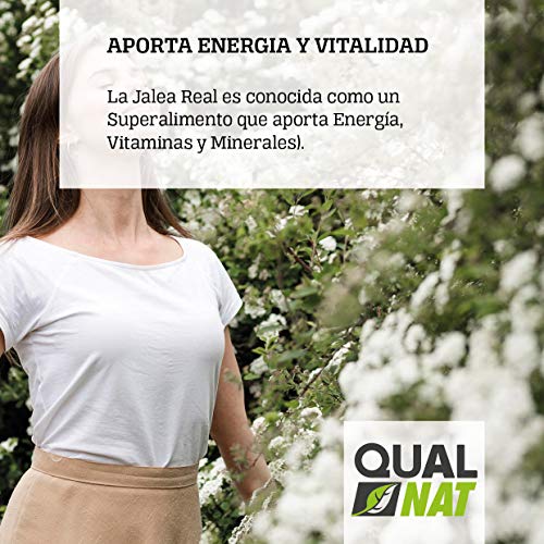 Jalea Real con Ginseng y Vitamina C 20 Ampollas | Vitaminas para el cansancio| Refuerza el organismo| Vitamina B6 y B12| Ayuda a reforzar el sistema inmunitario| QUALNAT