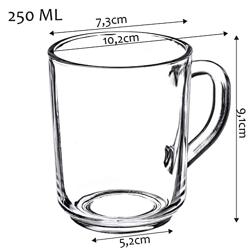 KADAX Juego de 6 vasos de té y agua, con asa, vasos de cristal, para zumo, té, café, té helado, zumo (250 ml)