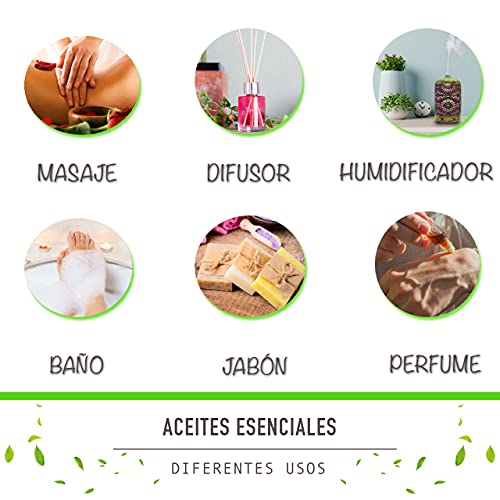 MAINELUX Aceites Esenciales para Humidificador, 100% Natural Puro Aromaterapia Top 6 Set de Regalo de aceites Aromáticos (Neroli, Bergamota, Romero, Yanlg Yanlg, Incienso, Camomila