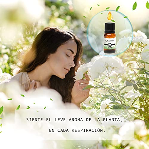 MAINELUX Aceites Esenciales para Humidificador, 100% Natural Puro Aromaterapia Top 6 Set de Regalo de aceites Aromáticos (Neroli, Bergamota, Romero, Yanlg Yanlg, Incienso, Camomila