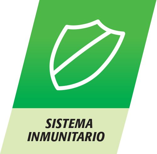 Multicentrum Complemento Alimenticio Multivitaminas con 13 Vitaminas, 11 Minerales y Luteína, Sin Gluten, Sabor a Naranja, 20 Comprimidos Efervescentes, 90 g