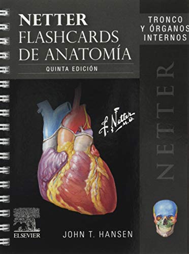 Netter. Flashcards de anatomía. Tronco y órganos internos, 5e