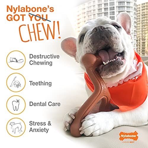 Nylabone Juguete masticable para higiene Dental en Forma de Hueso para Perros con mordida agresiva, Triple Pack, frenesí de Sabor, para Perros Adultos de hasta 11 Kilos 135 g