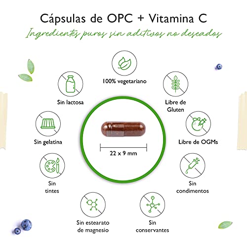 OPC Extracto de Semillas de Uva + Vitamina C - 1050 mg por dosis diaria (2 cápsulas) - OPC de uvas europeas probado en laboratorio - Dosis alta - Vegano