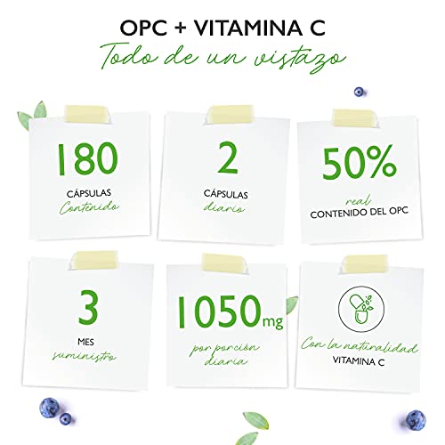 OPC Extracto de Semillas de Uva + Vitamina C - 1050 mg por dosis diaria (2 cápsulas) - OPC de uvas europeas probado en laboratorio - Dosis alta - Vegano