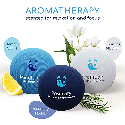 Paquete de bolas antiestrés MindPanda 3X | Tri-Density para terapia de ejercicio manual - Fragancia para un enfoque adicional - Afirmaciones motivacionales (Blue - Mindfulness Stress Balls)