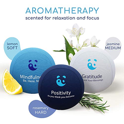 Paquete de bolas antiestrés MindPanda 3X | Tri-Density para terapia de ejercicio manual - Fragancia para un enfoque adicional - Afirmaciones motivacionales (Blue - Mindfulness Stress Balls)