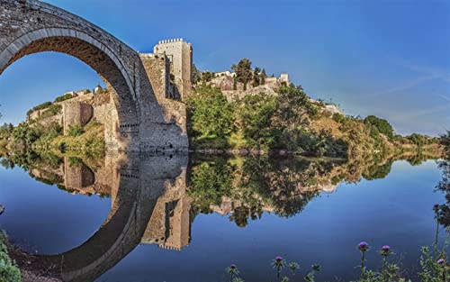 Pintura Toledo Puente De Alcántara Puente De Arco Romano Río Tajo Verano Color Charla Pintura Por Números Diy Lienzo Único Kit De Pintura Al Óleo Pintura Digital