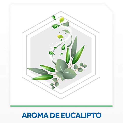 Raid - Difusor Eléctrico Anti Mosquitos com unes y Tigre Aroma com Aplicador y 2 Recâmbios, Blanco, Eucalipto